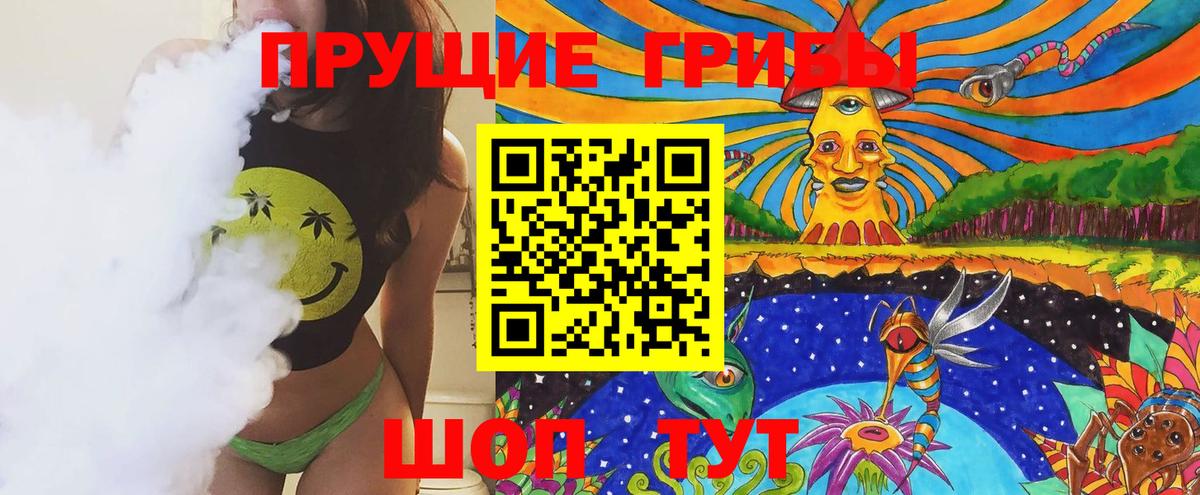 Псилоцибиновые грибы Psilocybe Семилуки
